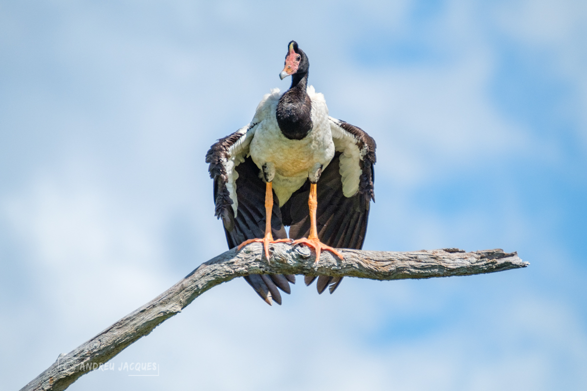 australie 2018-105