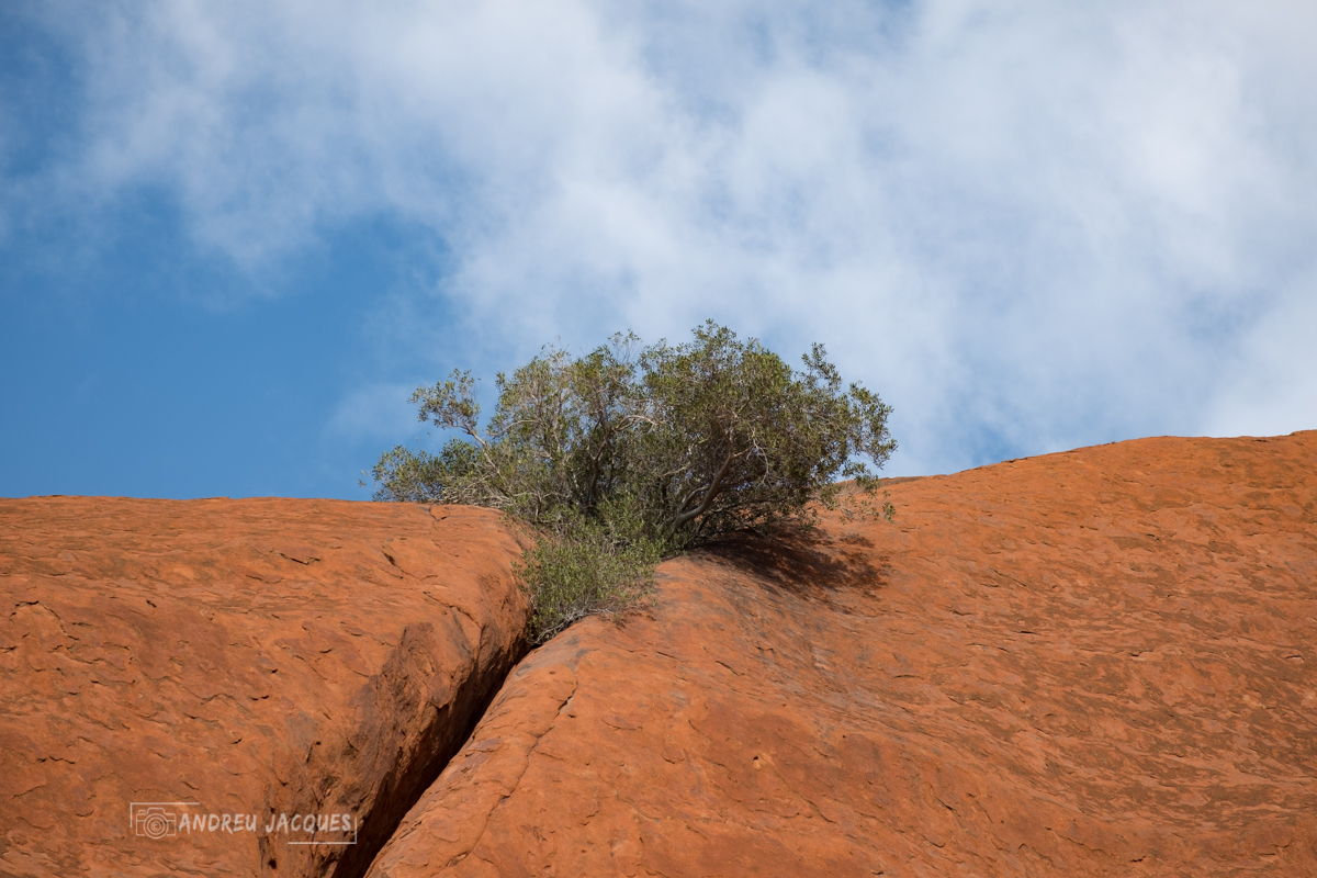 australie 2018-60