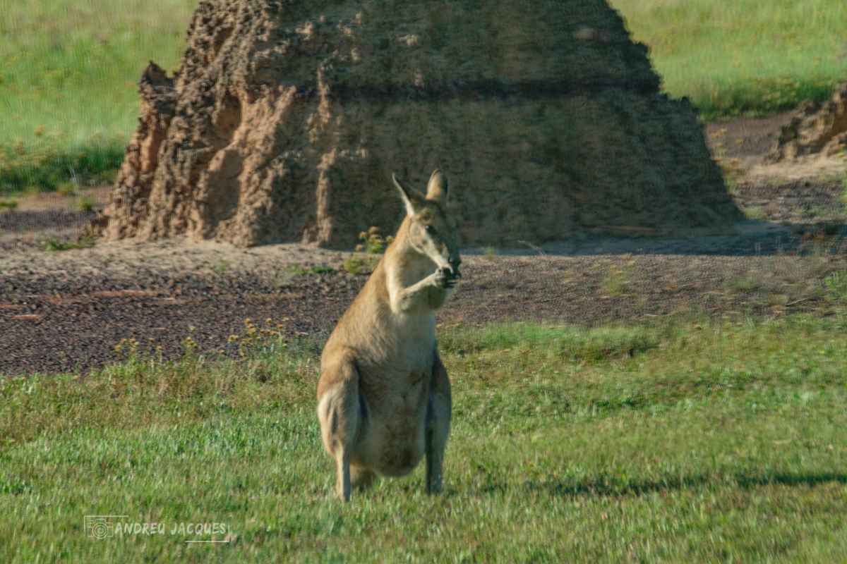 australie 2018-87