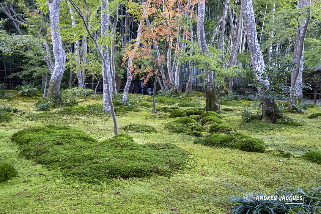 japon 2019-127