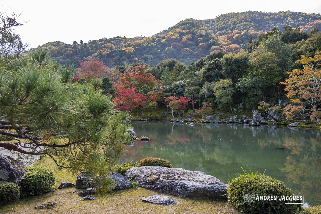 japon 2019-141