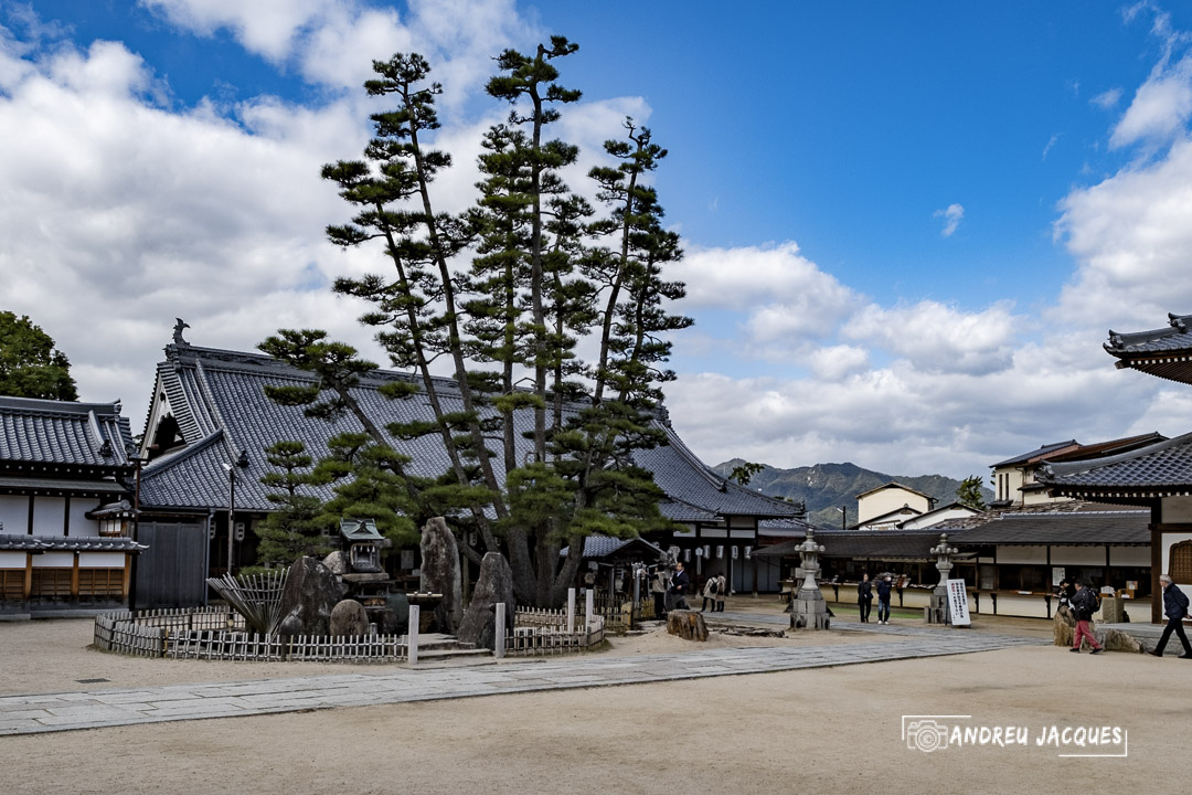 japon 2019-178