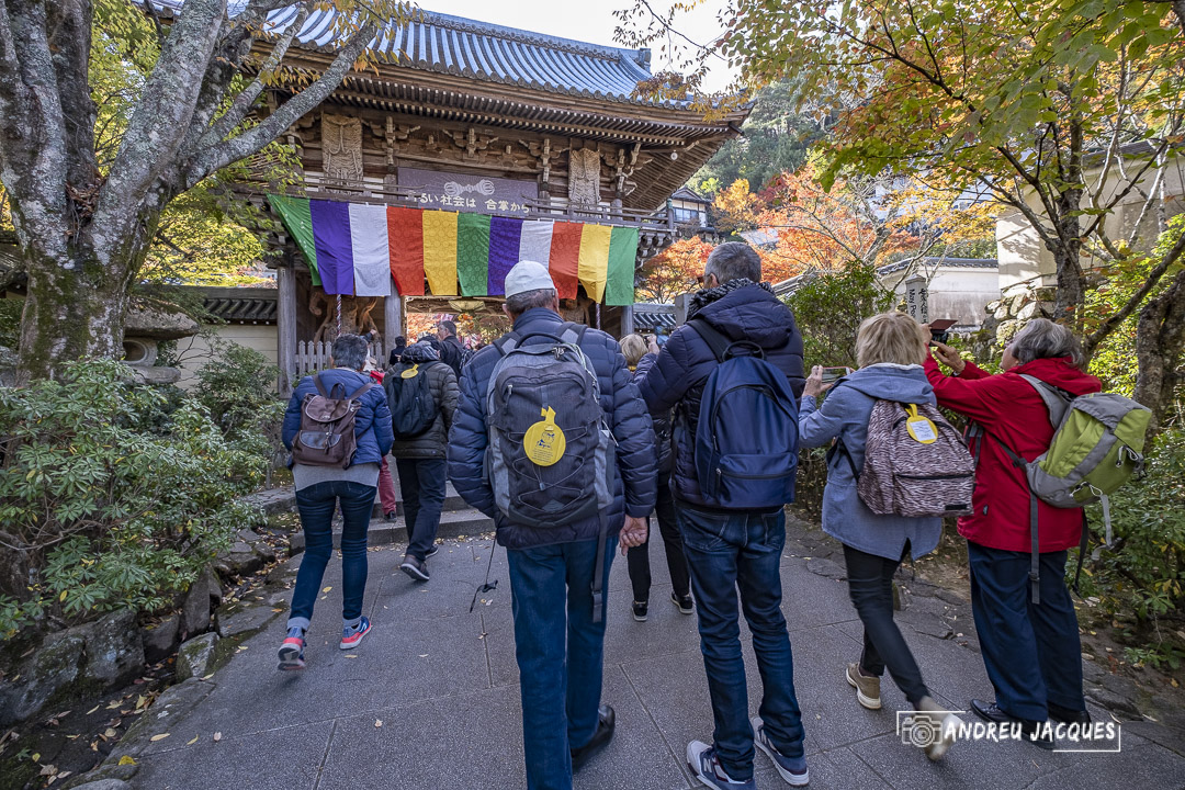 japon 2019-188