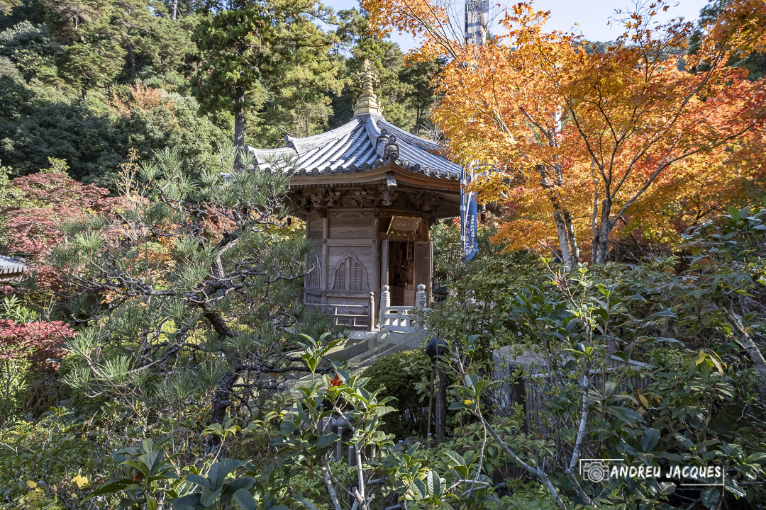 japon 2019-197