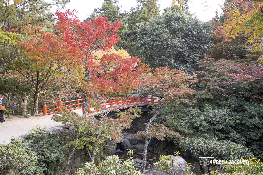 japon 2019-208