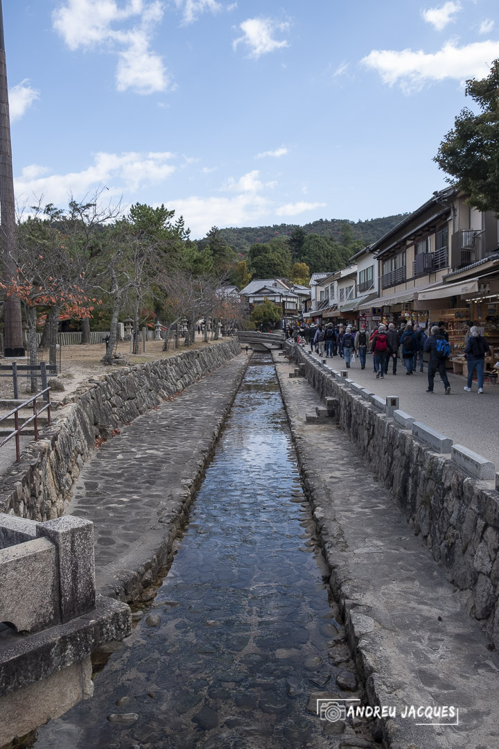 japon 2019-217