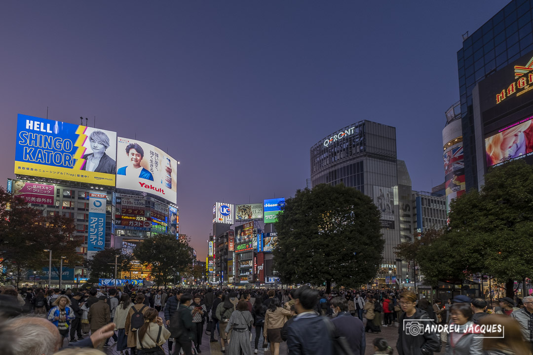 japon 2019-265