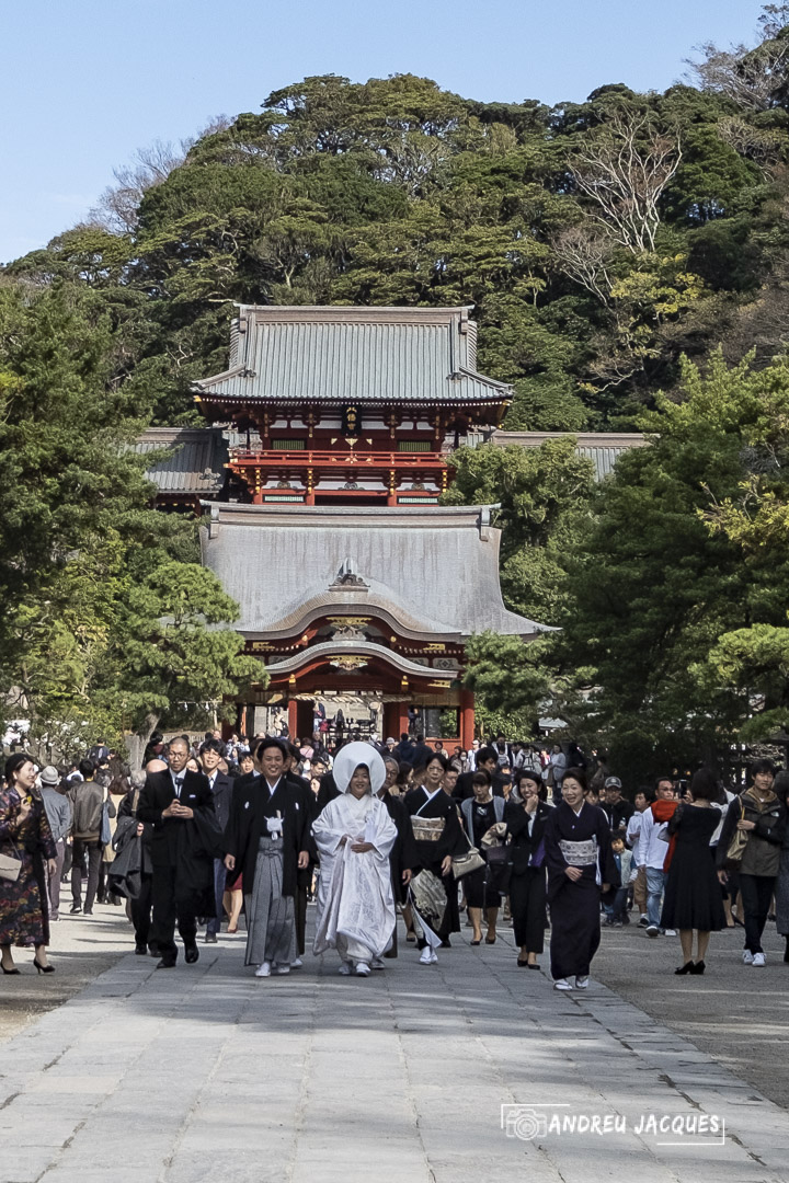 japon 2019-280