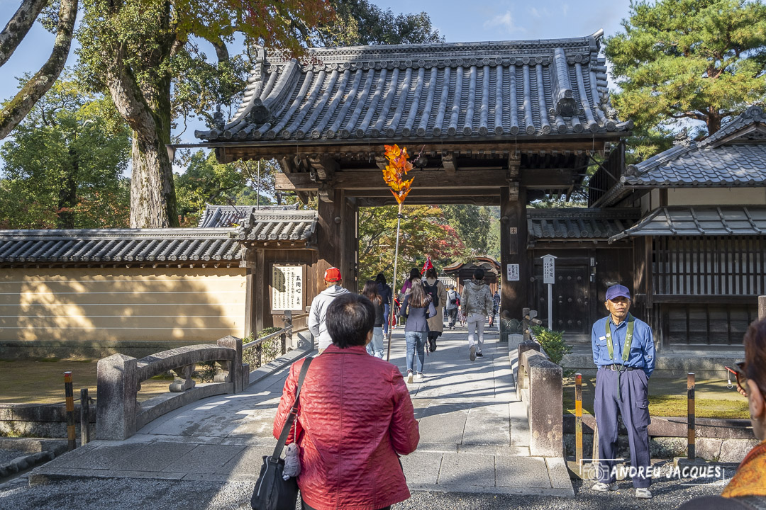 japon 2019-53