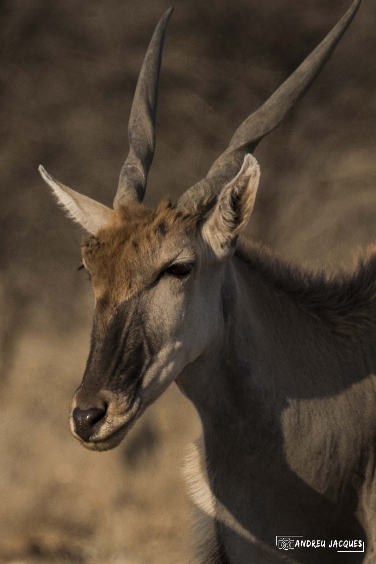 namibie16-10