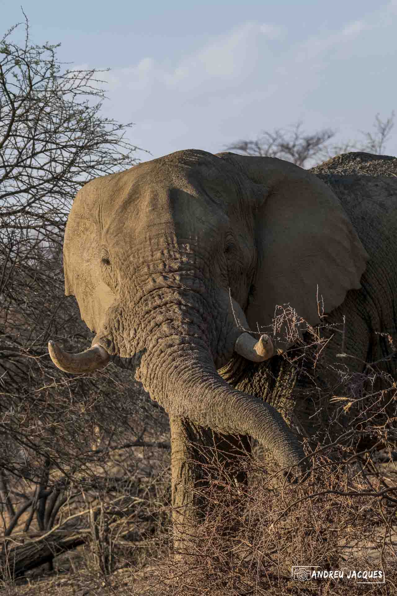 namibie16-11