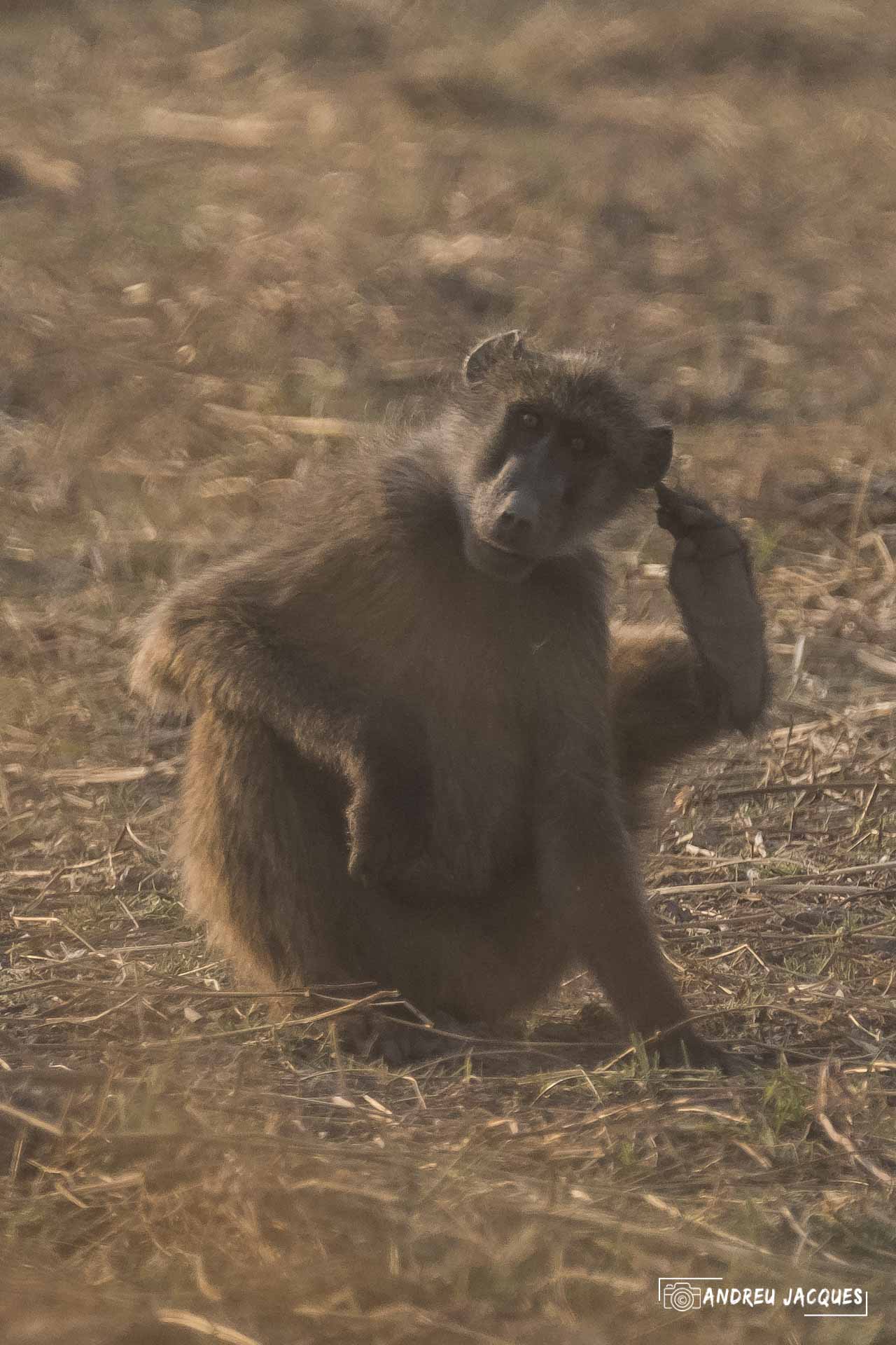 namibie16-15