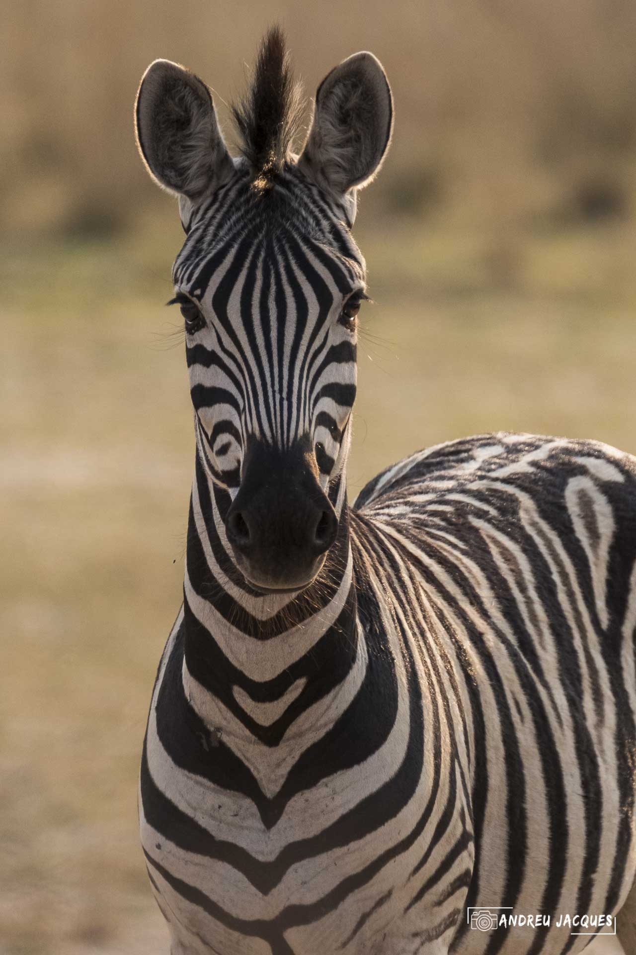 namibie16-16