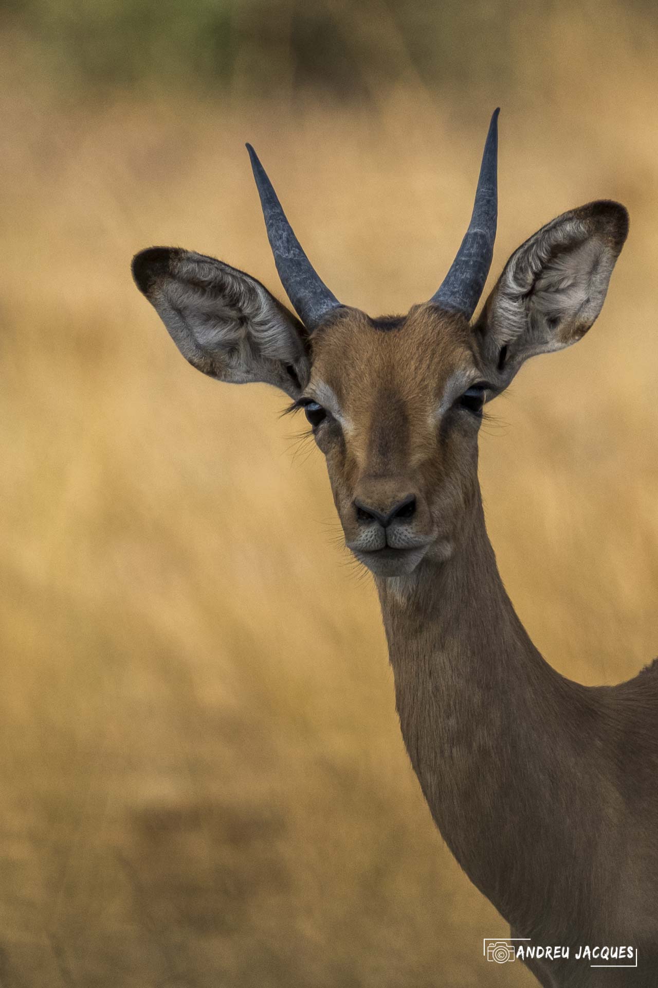 namibie16-18