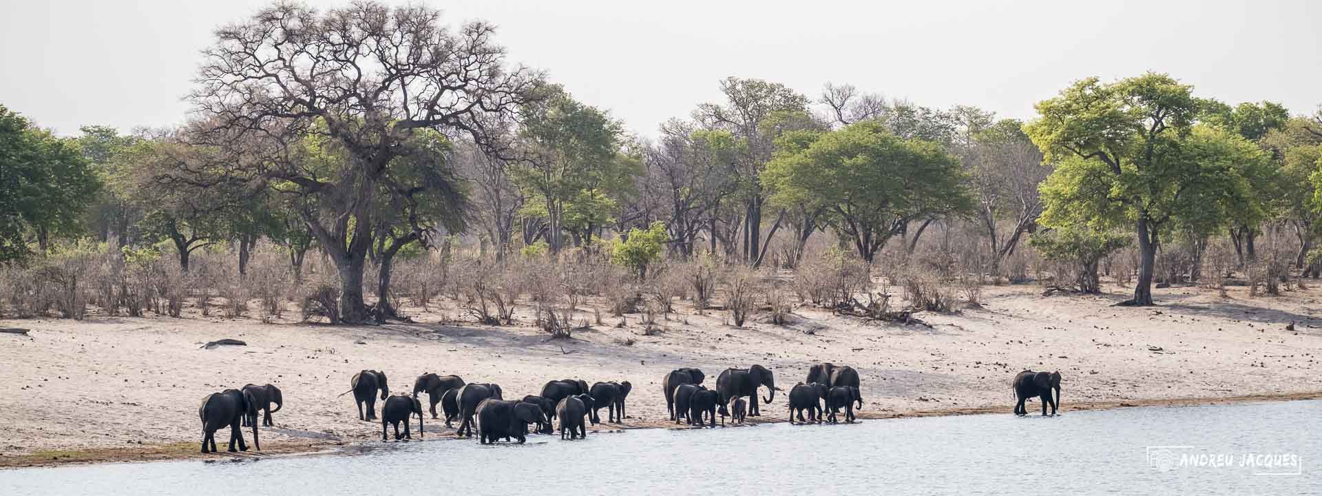 namibie16-20