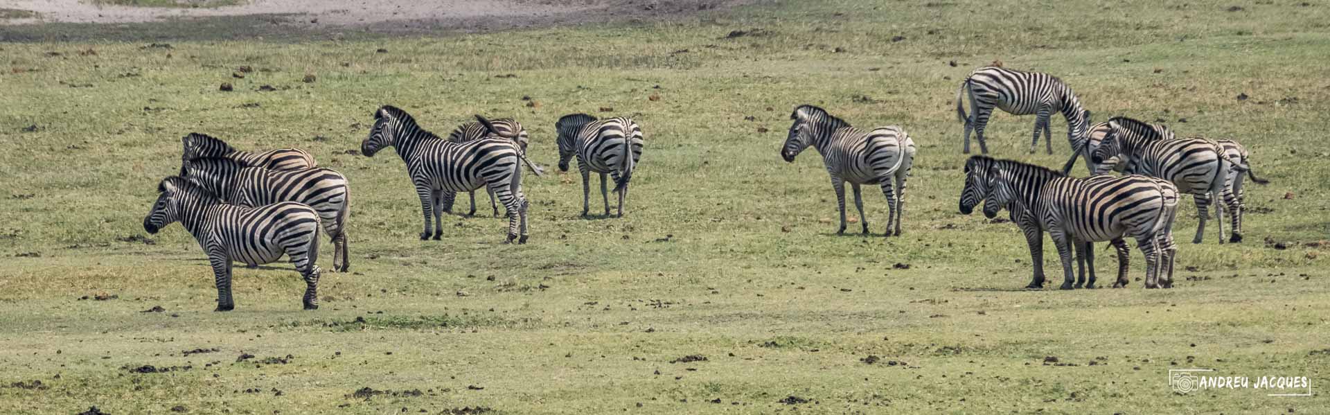 namibie16-21