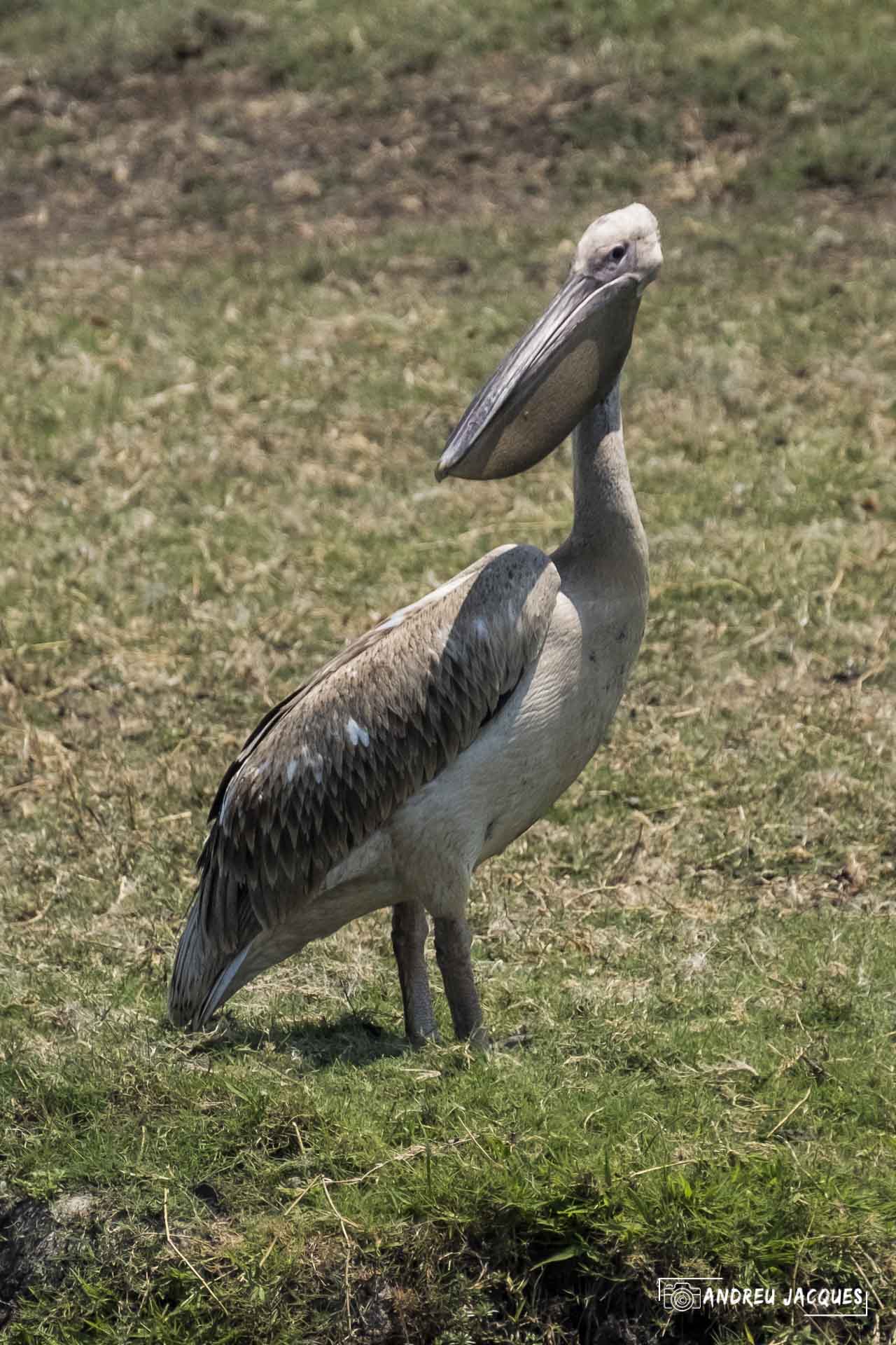 namibie16-23