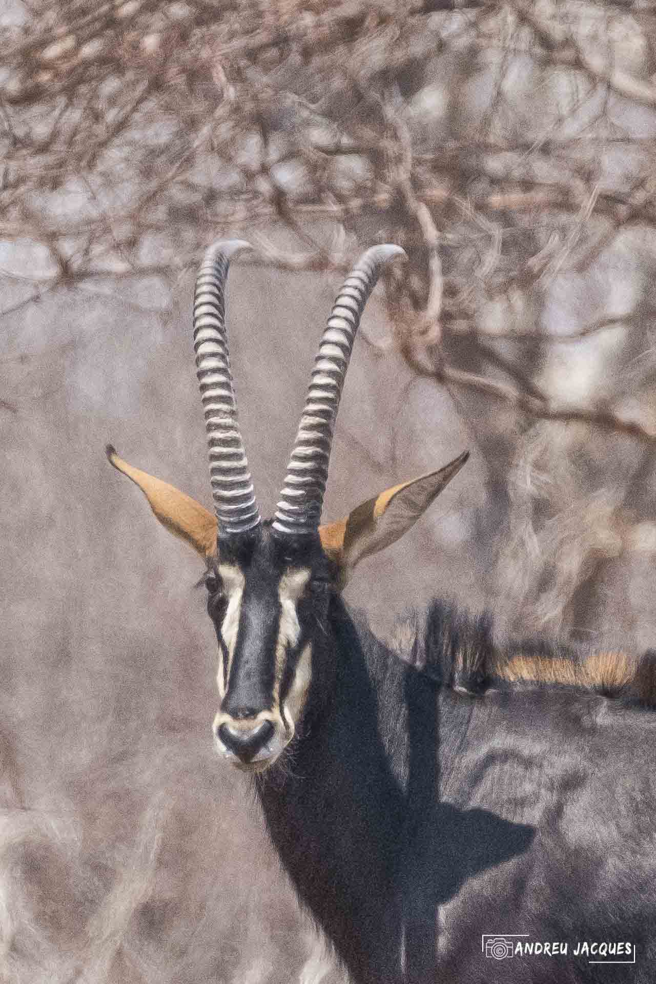 namibie16-25