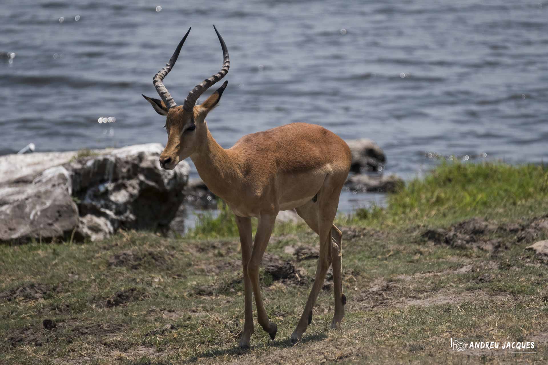 namibie16-26