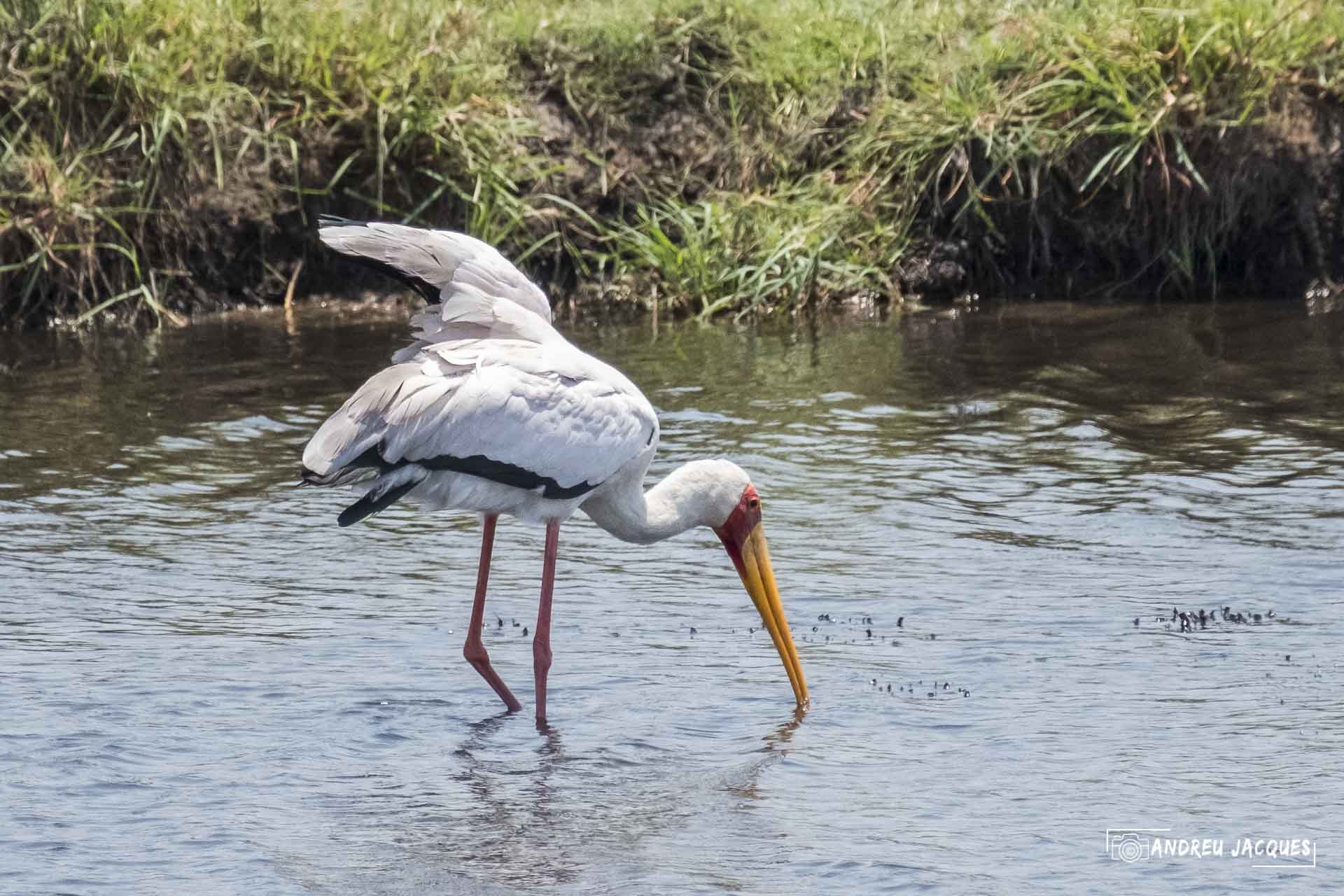 namibie16-27