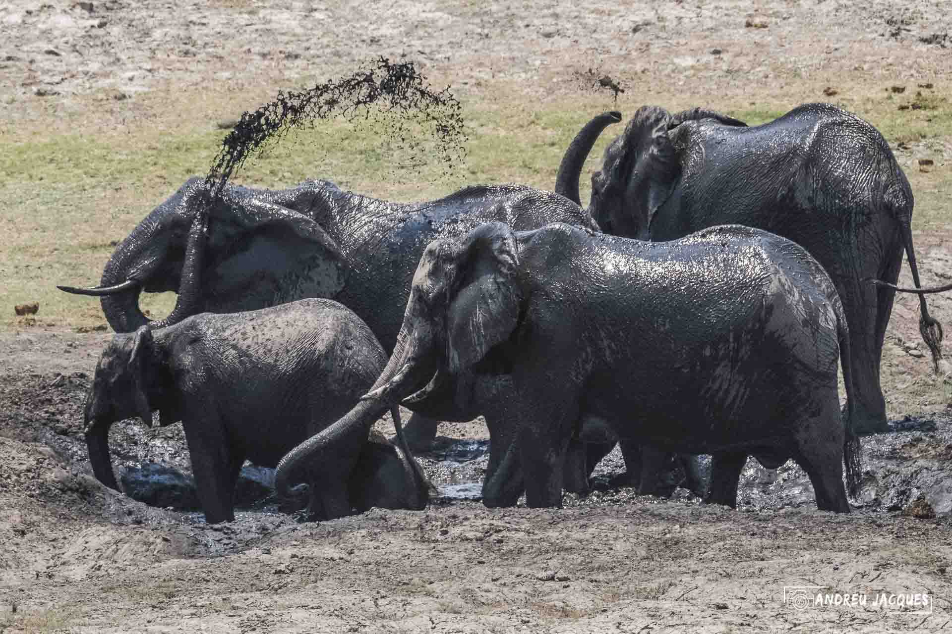 namibie16-29