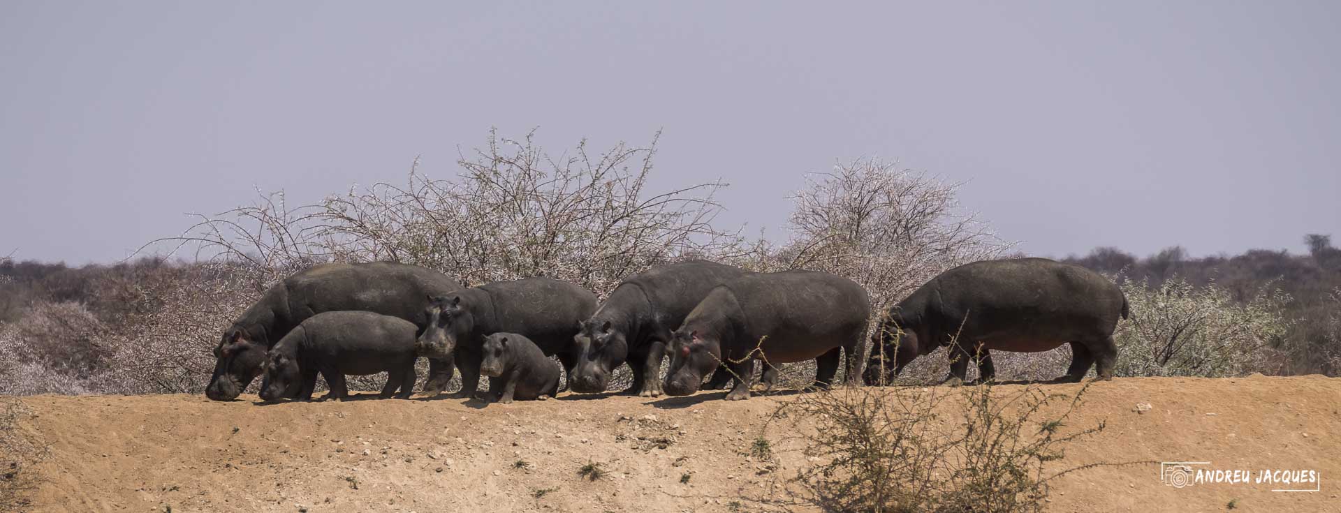 namibie16-3