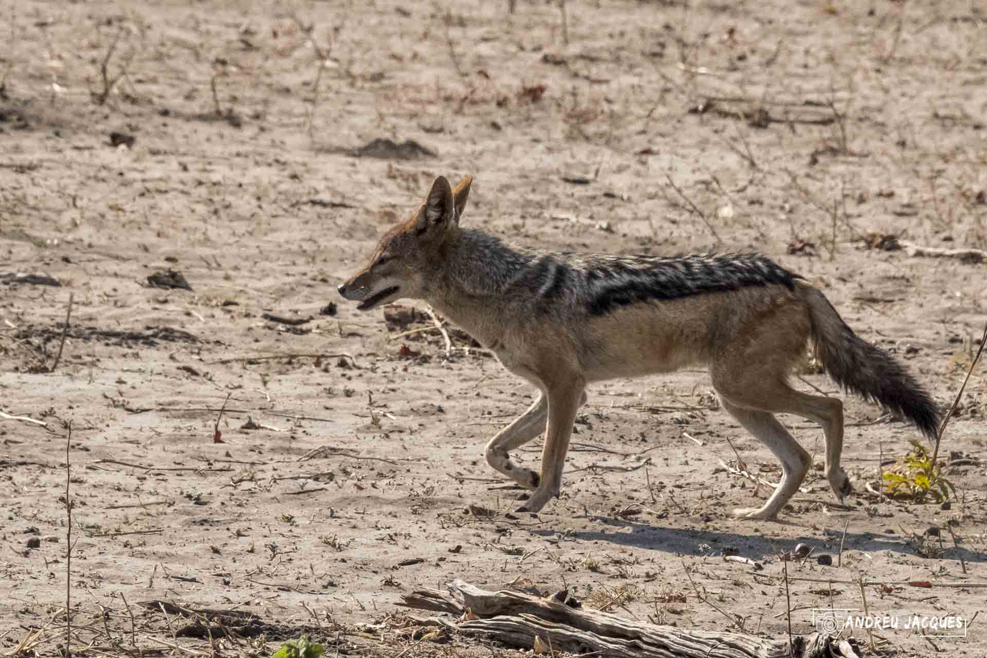 namibie16-35