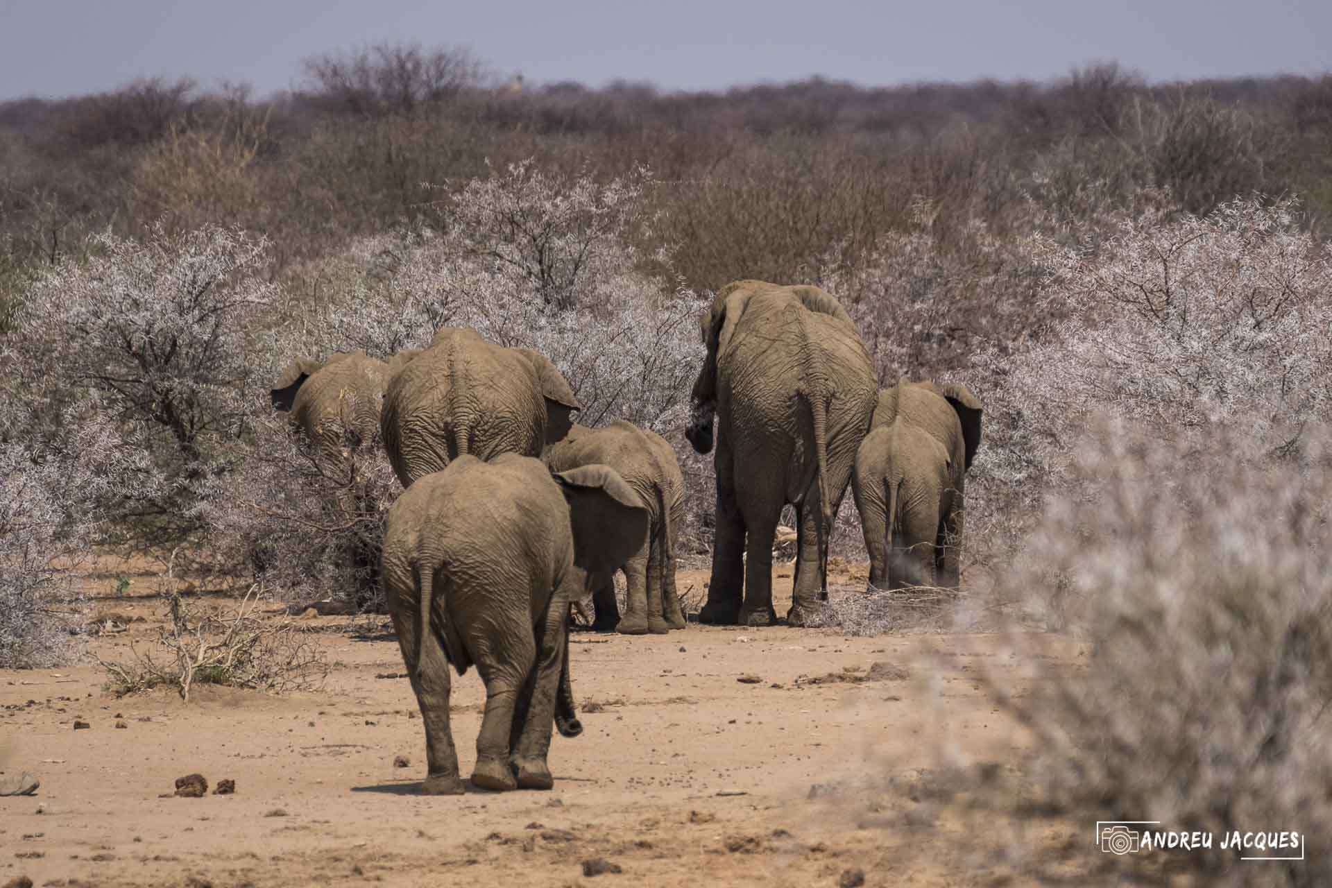 namibie16-4