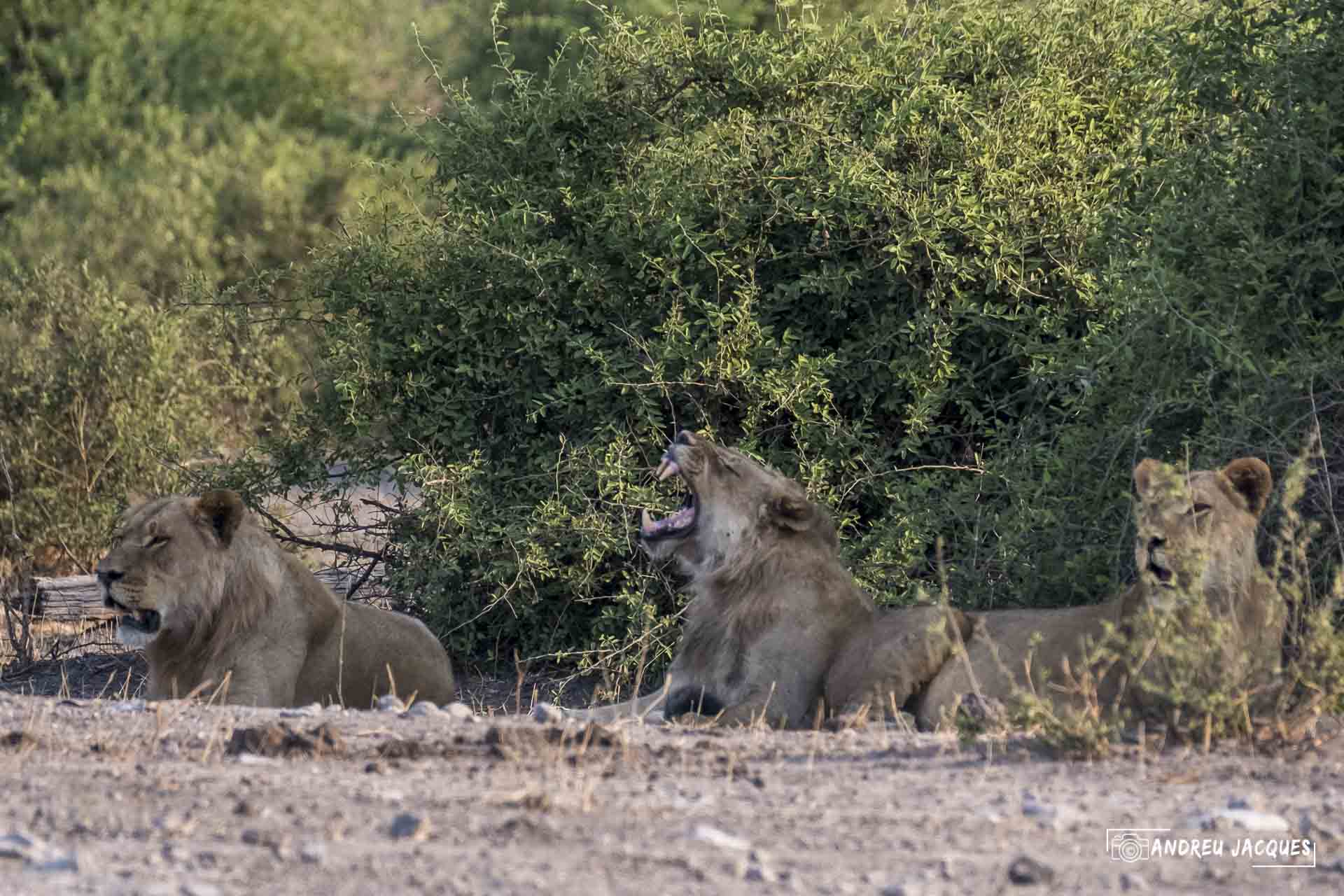 namibie16-42