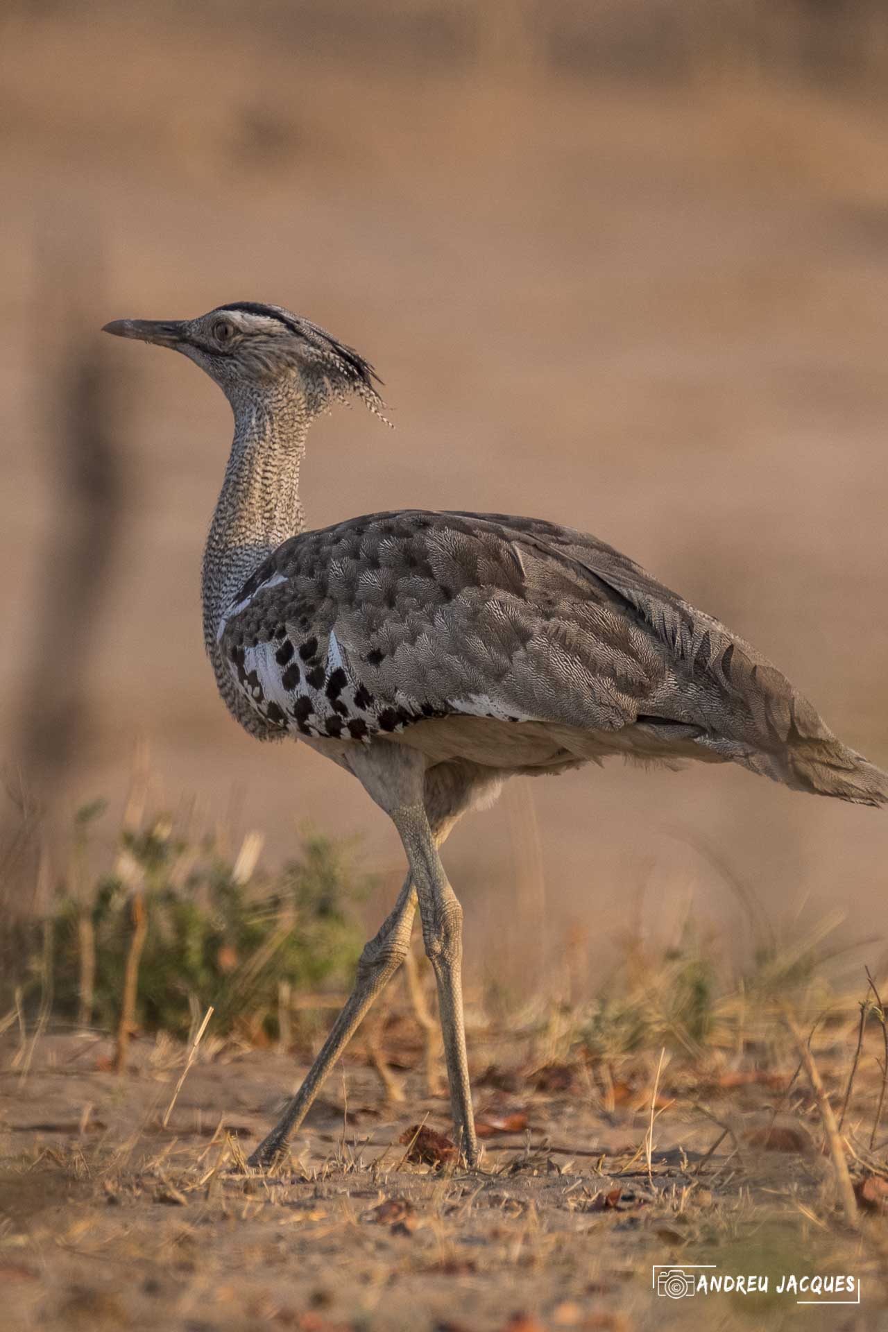 namibie16-43