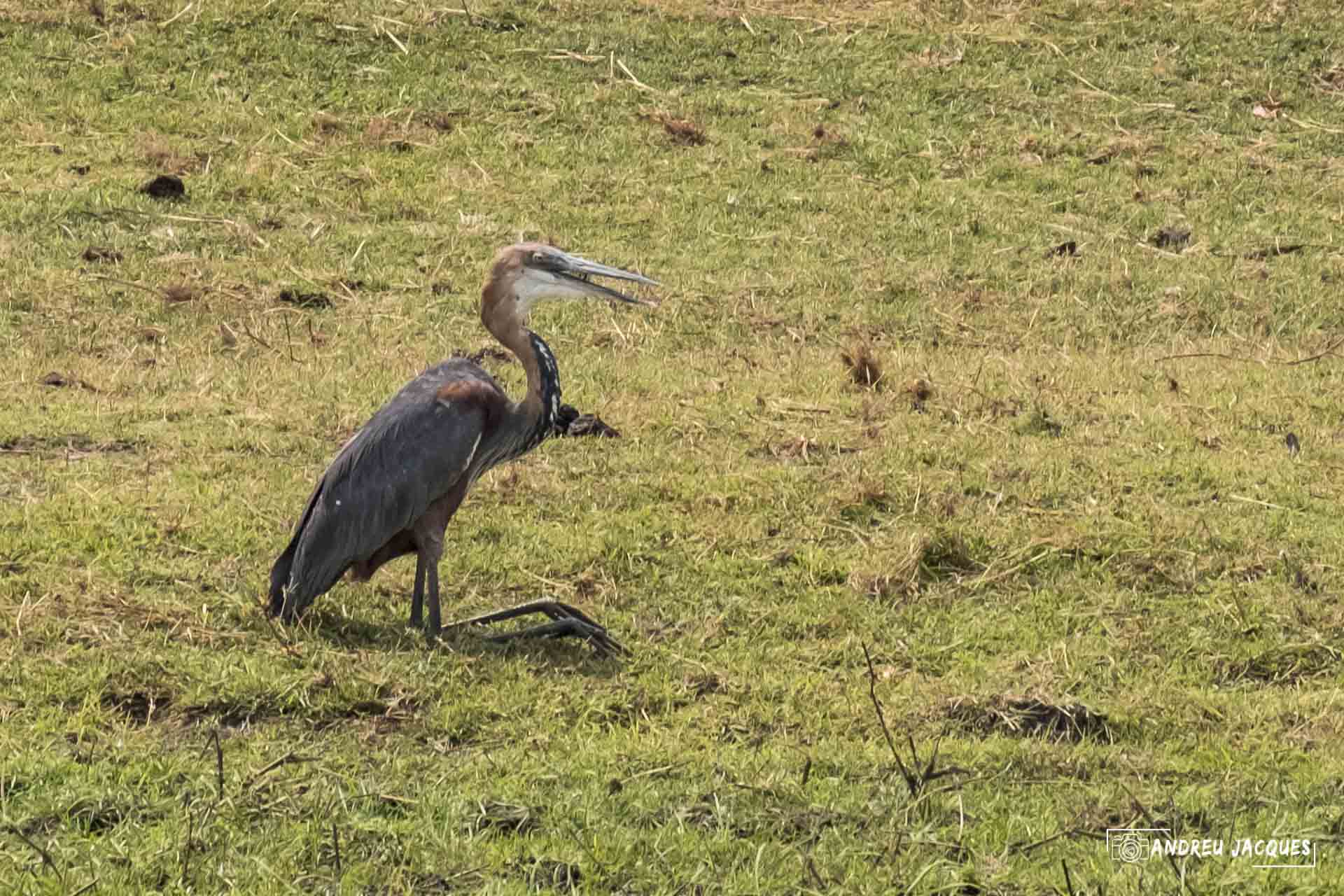 namibie16-50