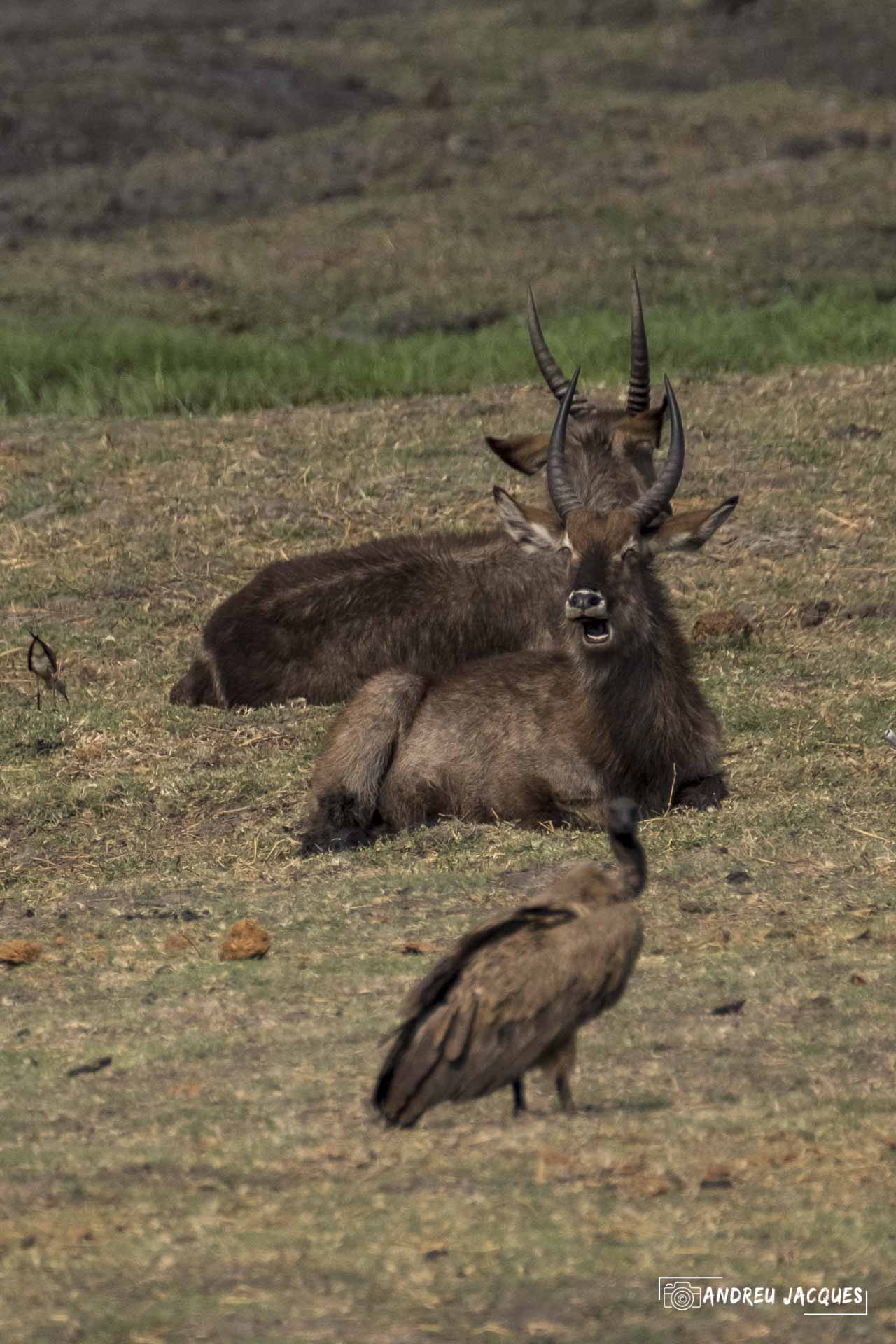 namibie16-64