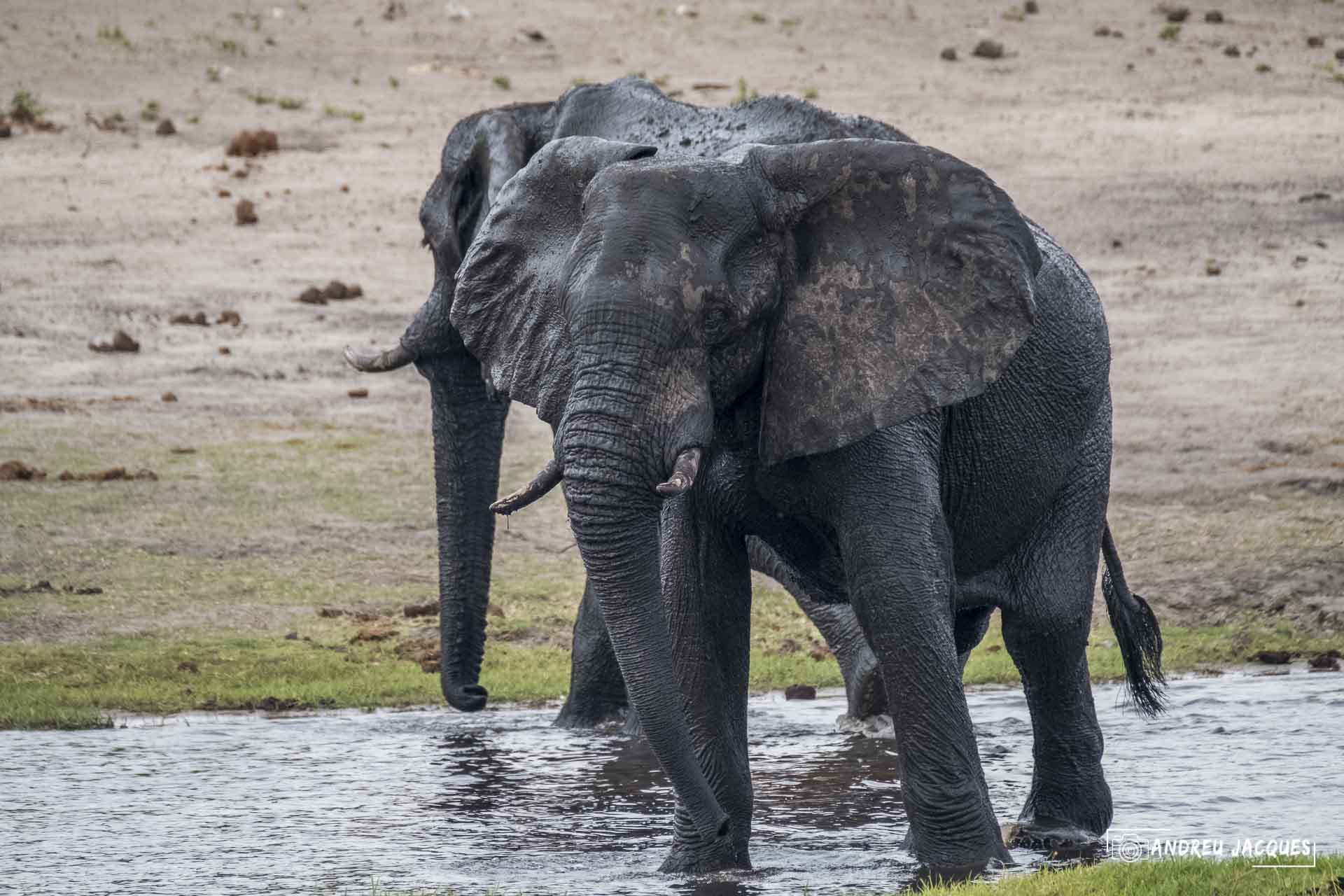 namibie16-71