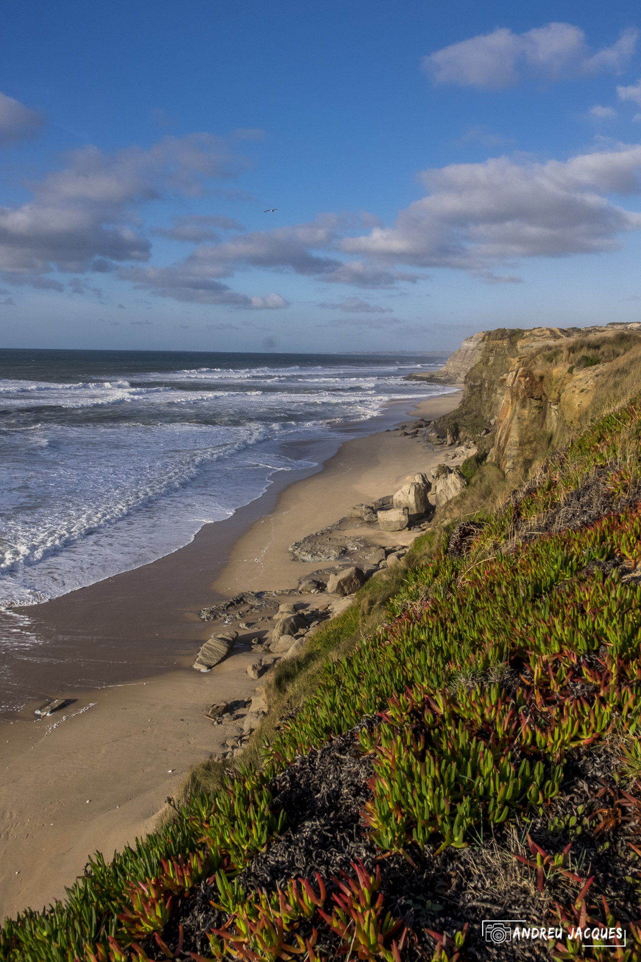 Portugal Ocean en hiver© ANDREU Jacques-1