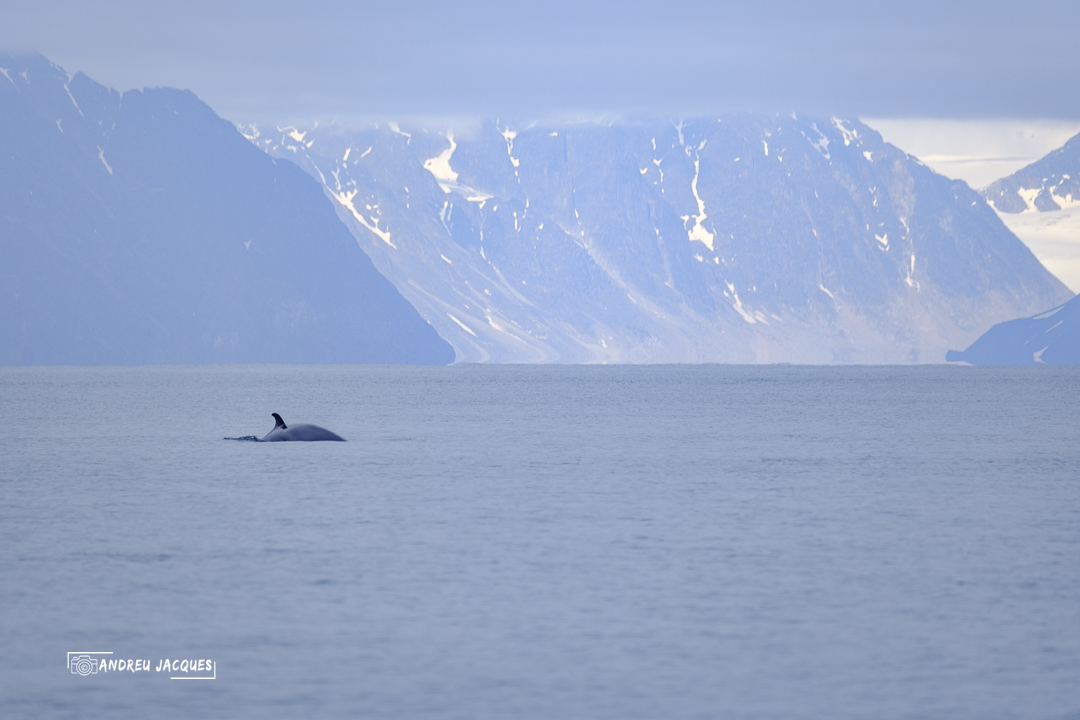 svalbard-112