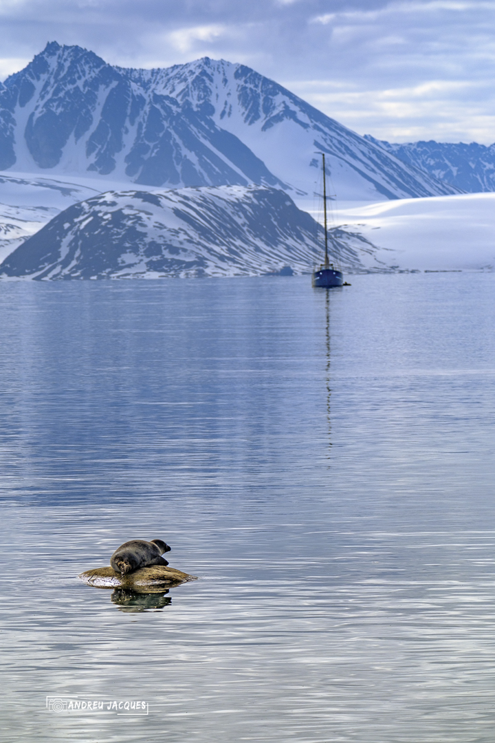 svalbard-34