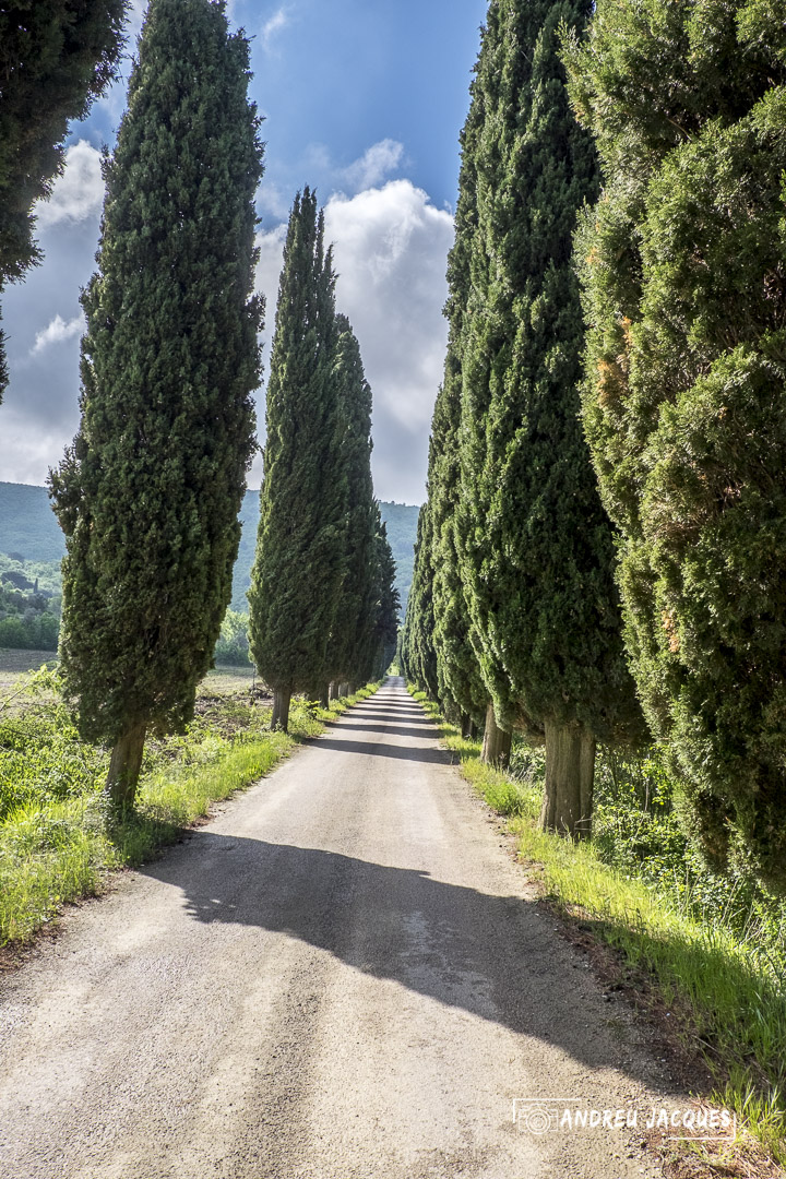 Toscane 2014 189