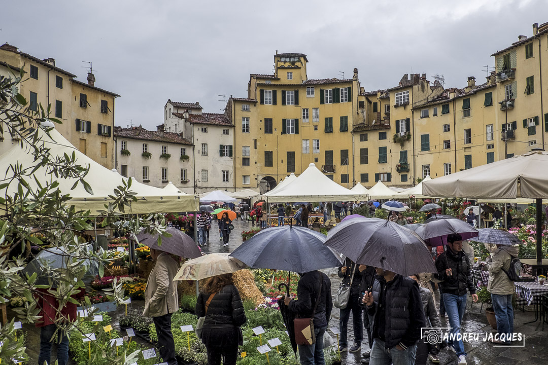 Toscane 2014 85