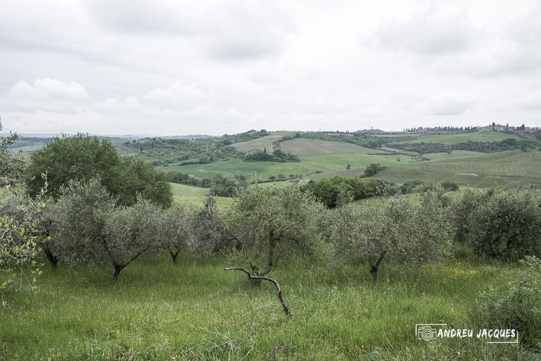 Toscane 2014 89